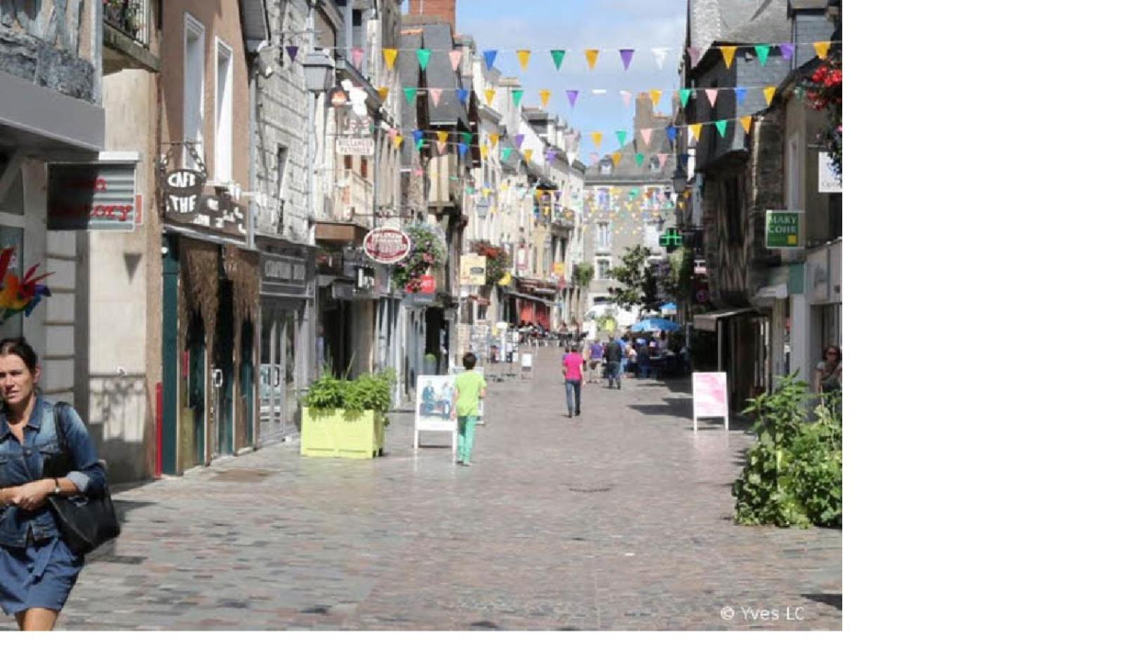 Spacieux T3 Lumineux Dans Quartier Historique Avec Wifi Redon Bagian luar foto
